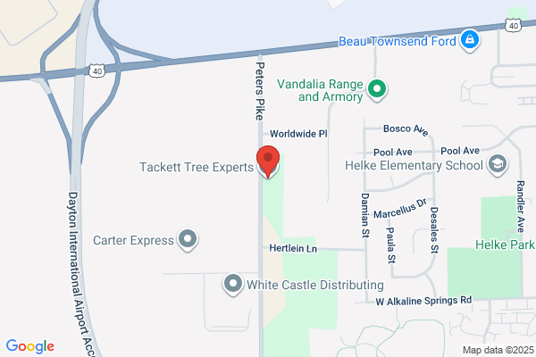 Tackett Tree Experts LLC