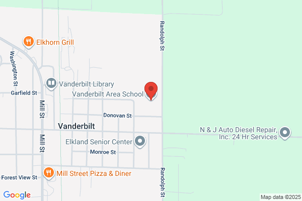 Schools, Vanderbilt Area Schools