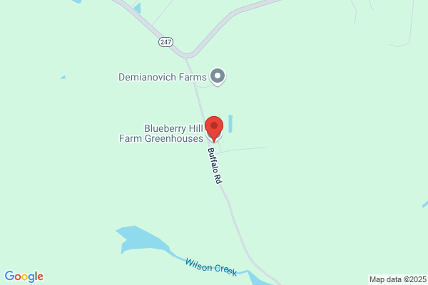 Blueberry Hill Farm Greenhouses, LLC