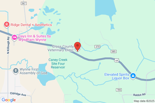 Cross County Veterinary Clinic - Julie Boone DVM