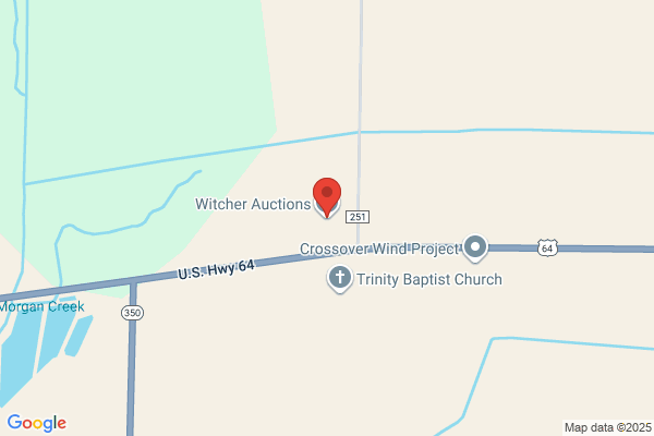 Witcher Auctions