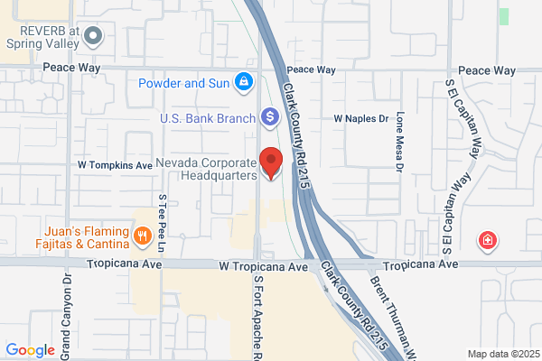 Nevada Business Corporations