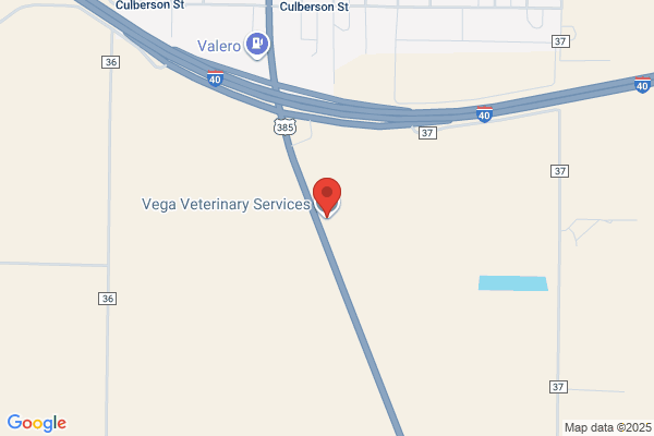 Vega Veterinary Services