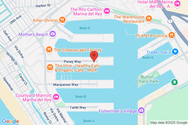 Dolphin Marina St Tropez