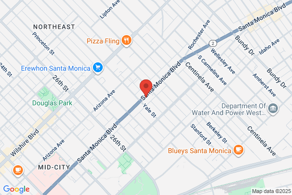 Action In Santa Monica