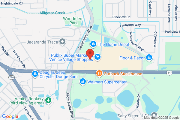 South Venice Llc