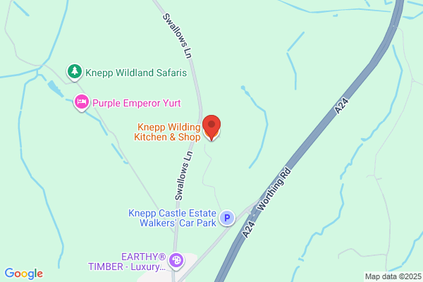 Knepp & Knepp PA