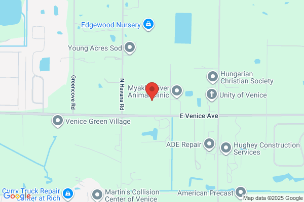 Venice Tree Farms Inc