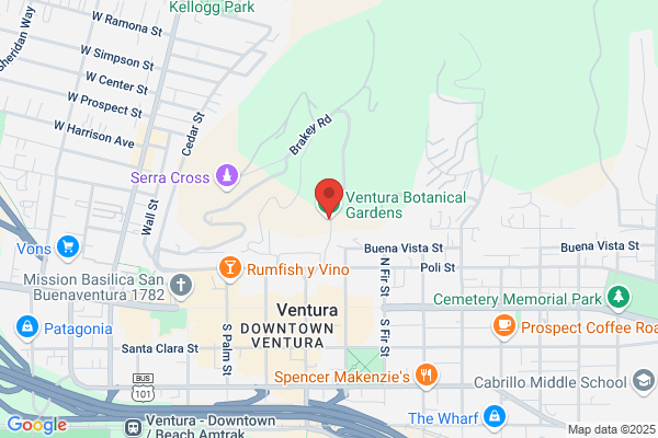Things to do in Ventura Today