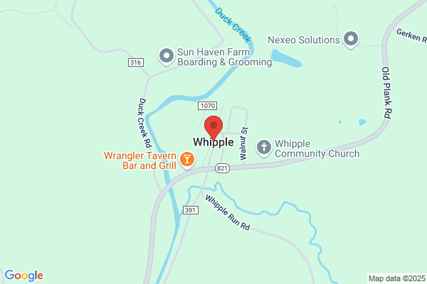 Whipple & Viele