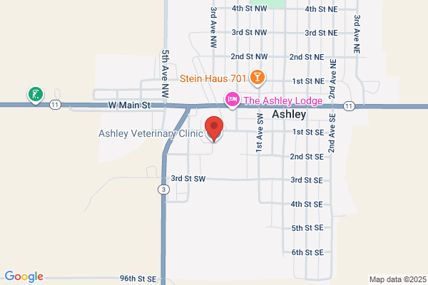 Ashley Veterinary Clinic Inc