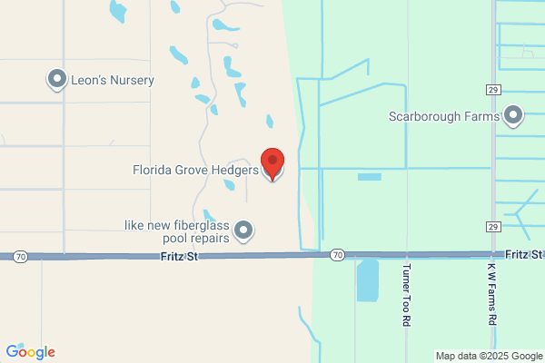 Florida Grove Hedgers