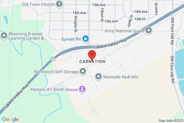Carnation