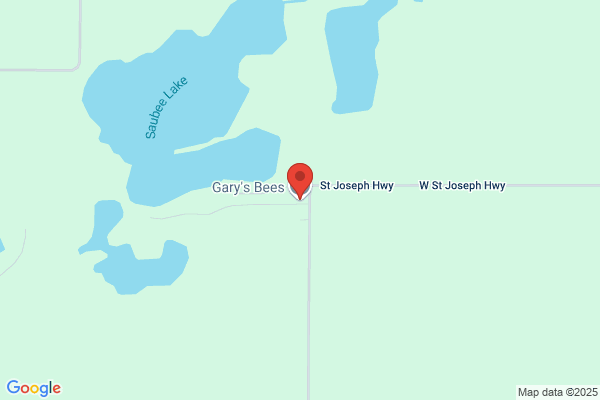 Gary's Bees