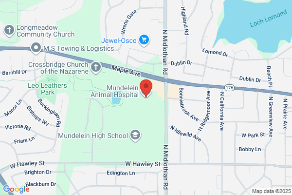 Mundelein Animal Hospital