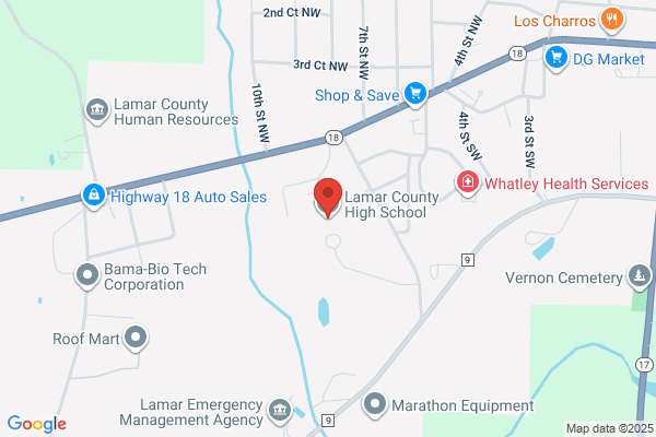Schools, Vernon, Lamar County High School