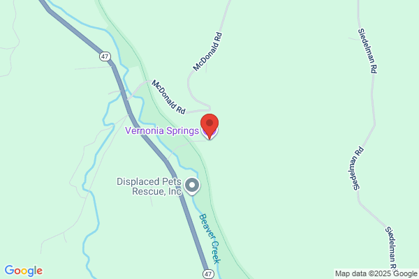 Vernonia Springs
