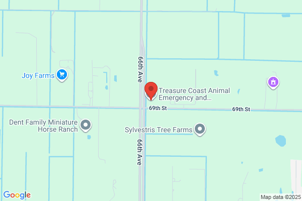 Treasure Coast Animal ER