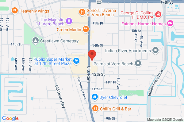 Advance Auto Parts