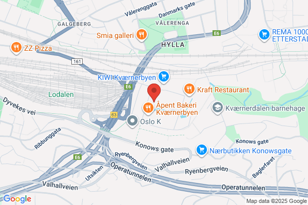 Oslo Cleaners