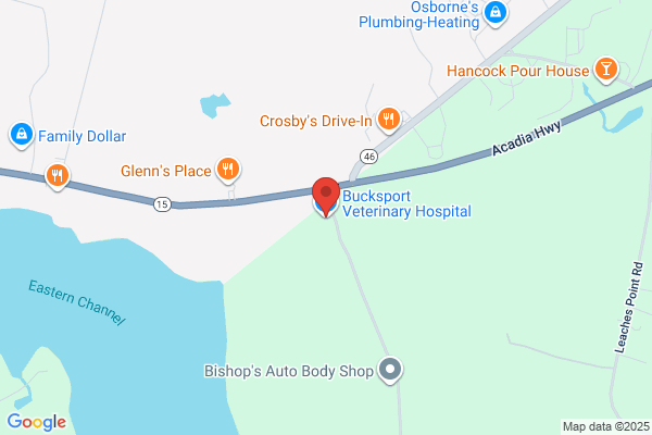 Bucksport Veterinary Hospital
