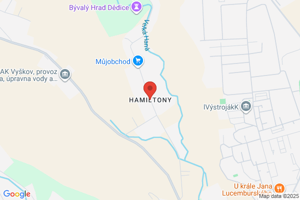 Hamilton-Ryker