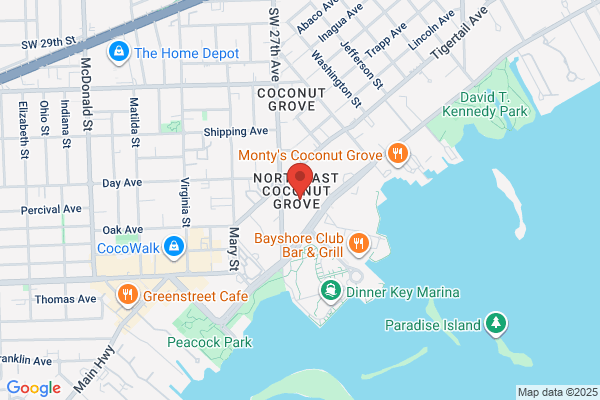 Meshulam David J Attorney