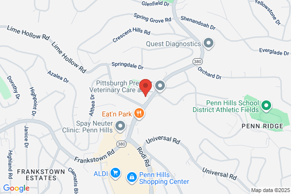 AutoZone Auto Parts