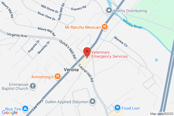 Veterinary Emergency Services