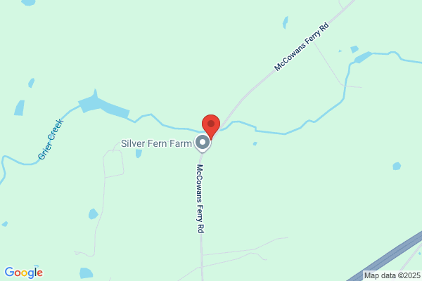 Blue Willow Farm