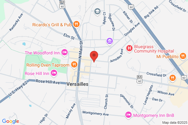 Woodford County Government, Treasurer