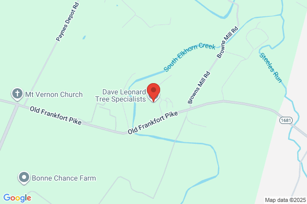Dave Leonard Tree Specialists
