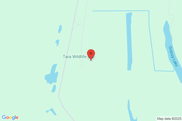 Tara Wildlife, Main Office