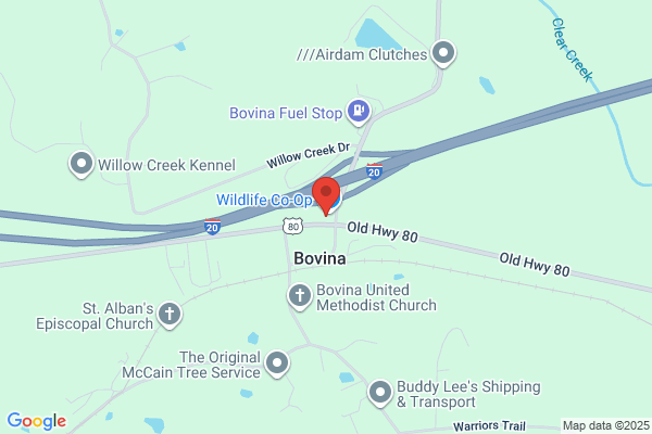 Bovina Cafe