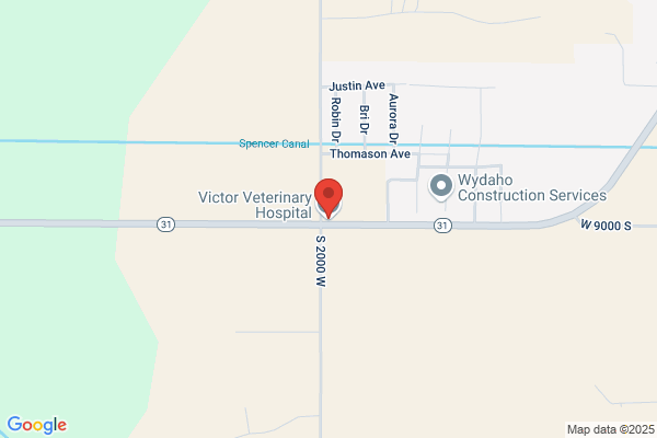 Victor Veterinary Hospital