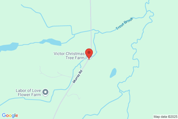 Victor Christmas Tree Farm