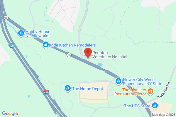 Perinton Veterinary Hospital