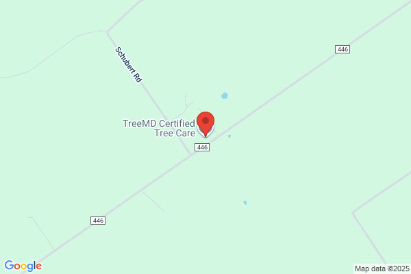 Durrant Tree Services