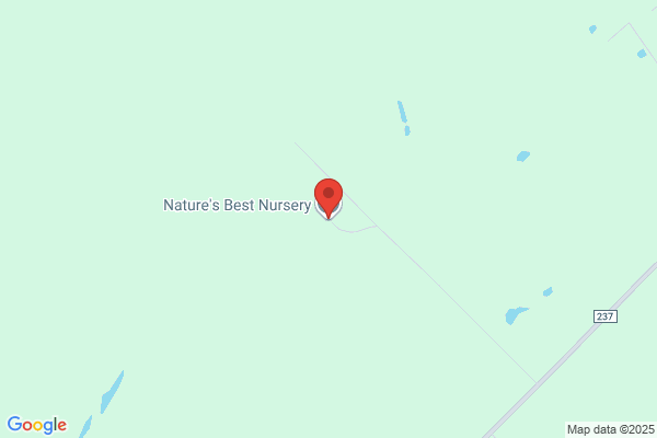 Nature's Best Nursery