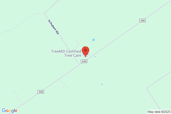Tree MD