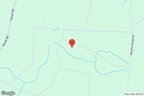 Altamaha Surveying & Mapping Co