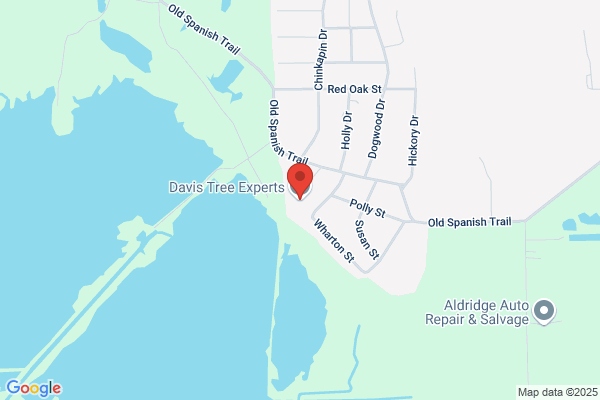 Davis Tree Experts