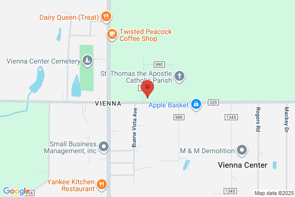 United States Government, Post Offices, Vienna