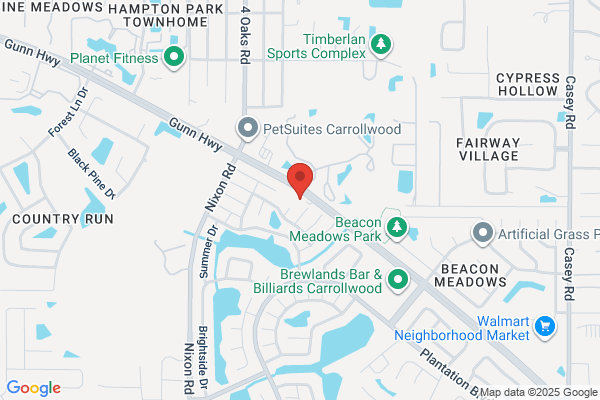 General Cosmetic Dentistry