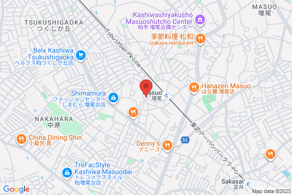 Chiba International Llc