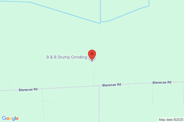 B's Stump Grinding-Removal Service