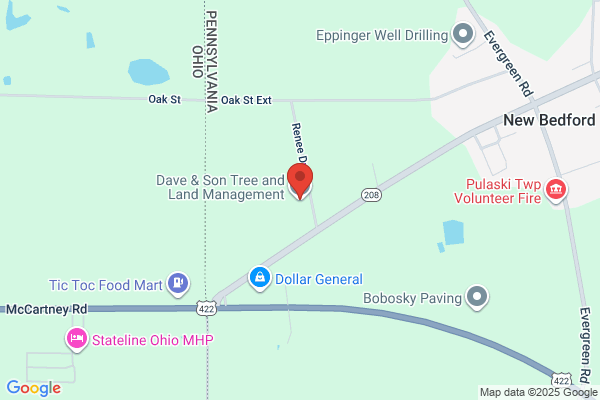 Dave & Son Tree and Land Management, LLC