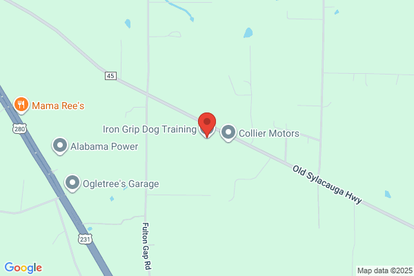 Iron Grip Dog Training