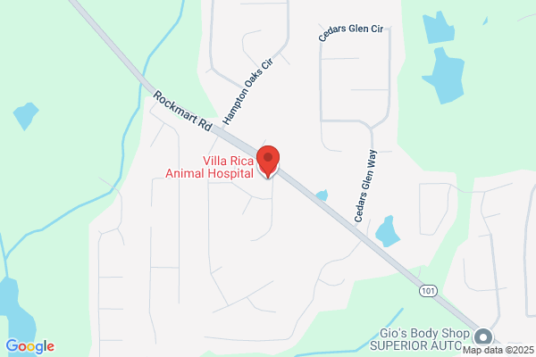 Walter Witkofsky - Villa Rica Animal Hospital