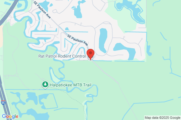 RatsRus Rat  and  Rodent Removal